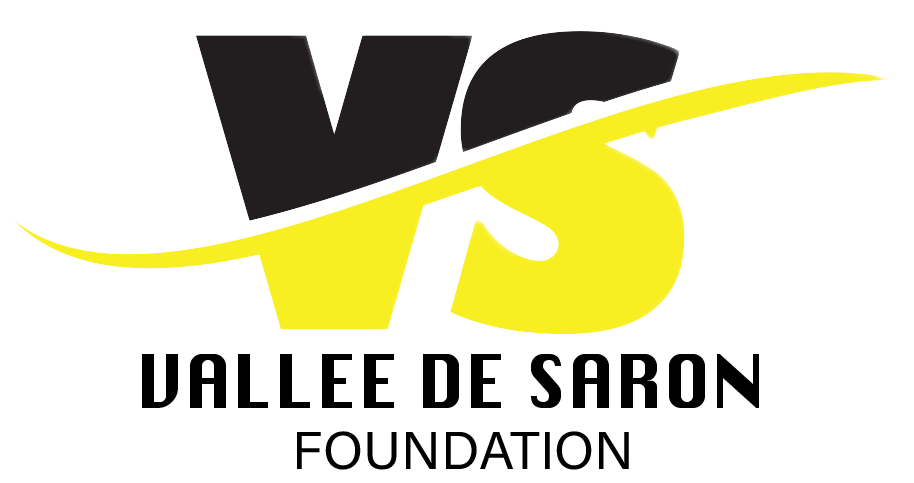 cropped-VS-LOGO-1-2.png