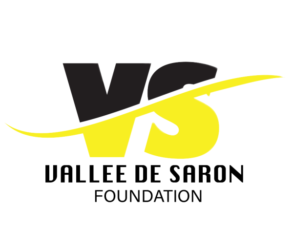 VS LOGO (2)