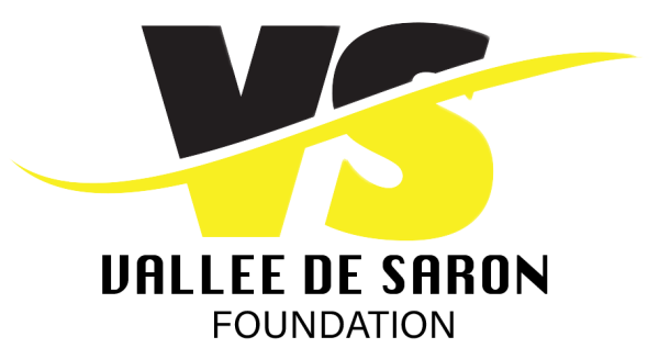 cropped-VS-LOGO-1-2.png